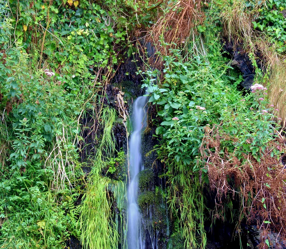 Filet d'eau